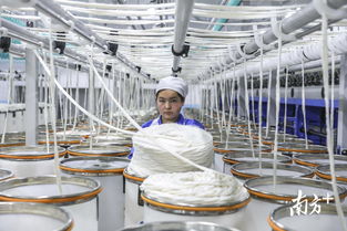 東莞援疆項(xiàng)目新進(jìn)展 兵團(tuán)草湖廣東紡織服裝產(chǎn)業(yè)園三期項(xiàng)目首條生產(chǎn)線試產(chǎn)