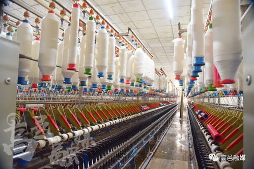 河北東城紡織 瞄準(zhǔn)市場(chǎng)抓技改，助推縣域經(jīng)濟(jì)發(fā)展