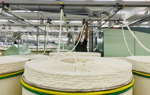 廣東援疆推動(dòng)產(chǎn)業(yè)發(fā)展與就業(yè)促進(jìn)，東純興集團(tuán)100萬(wàn)錠紡織項(xiàng)目全面達(dá)產(chǎn)助力勞動(dòng)保護(hù)用品生產(chǎn)