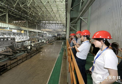 產城融合新范式 魯寶鋼管的綠色制造與勞動保護協同發展之路