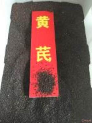 黃芪種植技術全解析 季節(jié)選擇、種子價格與畝產量指南